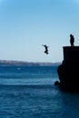 Group of friends jumping into mediterranean sea from rock cliff