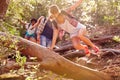 Group Of Friends Jumping Over Tree Trunk On Countryside Walk Royalty Free Stock Photo