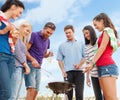 Group of friends making barbecue on the beach