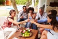 Group of friends making a celebratory toast in conservatory Royalty Free Stock Photo