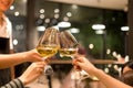 Group of friends raising a toast with glasses of white wine