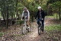 Group of friends ride mountain bike in the forest together Royalty Free Stock Photo