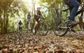 Group of friends ride mountain bike in the forest together Royalty Free Stock Photo