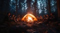 A group of friends roasting marshmallows over the fire, using sticks to make smores on a camping trip at night in the forest Royalty Free Stock Photo