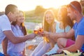 Group of friends toasting champagne sparkling wine at a relax pa Royalty Free Stock Photo