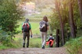 Group of friends walking with backpacks in forest from back. Backpackers hiking in the woods. Adventure, travel, tourism, active