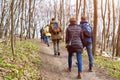 Group of friends walking with backpacks in spring forest from back. Backpackers hiking in the woods. Adventure, travel Royalty Free Stock Photo