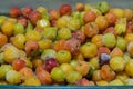 Group of frozen acerolas fruits