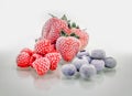 Group of frozen berries on a white background Royalty Free Stock Photo