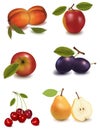 A group of fruit. Royalty Free Stock Photo