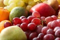Group fruit background. Royalty Free Stock Photo