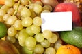 Group fruit background with frame. Royalty Free Stock Photo