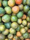 Group of Fruits Royalty Free Stock Photo