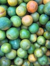 Group of Fruits Royalty Free Stock Photo