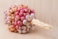 Group of garlic and onion Royalty Free Stock Photo