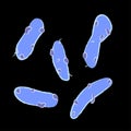 Group of Gemmatimonadetes bacterias on black background, vector illustration