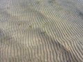 Group of gentle waves across shallow water with rippled sand at PresquÃ¢â¬â¢ile Royalty Free Stock Photo