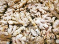 Group of ginger roots in the supermarket, Ginger background, Fresh ginger from the farm field, lots of ginger root in the market