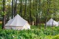 Group of glamping bell tents Royalty Free Stock Photo