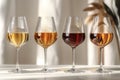 group in glass wine glasses, with 4 distinct wines on a table