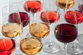 Group of glasses with different wines Royalty Free Stock Photo