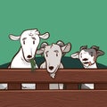 Group of goats illustration cartoon