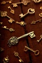 Group of Golden Antique Keys on an old Wood Background Royalty Free Stock Photo