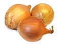 Group of golden onions Royalty Free Stock Photo