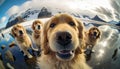 a group of golden retriever dogs cutest group of dog taking selfie generative AI