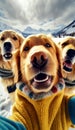 a group of golden retriever dogs wearing dog sweater taking selfie generative AI