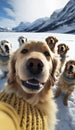 a group of golden retriever dogs wearing dog and taking selfie generative AI