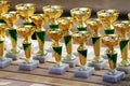 Group of golden trophies championship awards in row Royalty Free Stock Photo