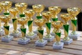 Group of golden trophies championship awards in row Royalty Free Stock Photo