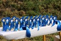 Golden colored trophies waiting for winners at an equestrian event summertime Royalty Free Stock Photo