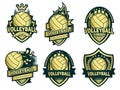 A group of golden Volleyball symbol set
