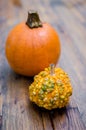 Group of gourd and pumpkin (Cucurbita)