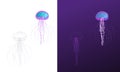 A group of gradient jellyfish of various colors and styles