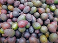 Group of green avacados in the supermarket, Avacado background, Fresh avacado from the farm garden, many avacados in the market