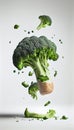 Group of Green Broccoli Vegetable Creatively Falling-Dripping Flying or Splashing on White Background Generative AI Royalty Free Stock Photo