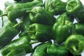 Green capsicum