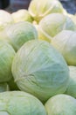 Group of green cabbages in a supermarket as a background, a lot of fresh cabbage at market place from farm field. close-up of Royalty Free Stock Photo