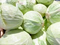 Group of green cabbages in a supermarket as a background, a lot of fresh cabbage at market place from farm field Royalty Free Stock Photo