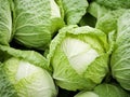 Fresh cabbage at market place Royalty Free Stock Photo
