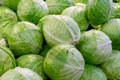 Group of green cabbages in a supermarket. Cabbage background. Fresh cabbage from farm field, a lot of cabbage at Royalty Free Stock Photo