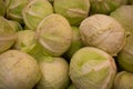 Group of green cabbages in a supermarket, Cabbage background, Fresh cabbage from farm field, a lot of cabbage at market place Royalty Free Stock Photo