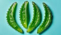 A group of green cactus leaves Royalty Free Stock Photo