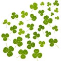 A group of green clover leaves on a white background for lucky symbol Royalty Free Stock Photo