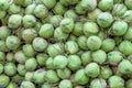 Group of green coconuts background.selective focus