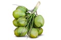 Group of green coconuts, coconut cluster isolated on white background Royalty Free Stock Photo