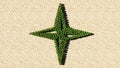 Group of green forest tree on dry ground background, sign of navigation compass
